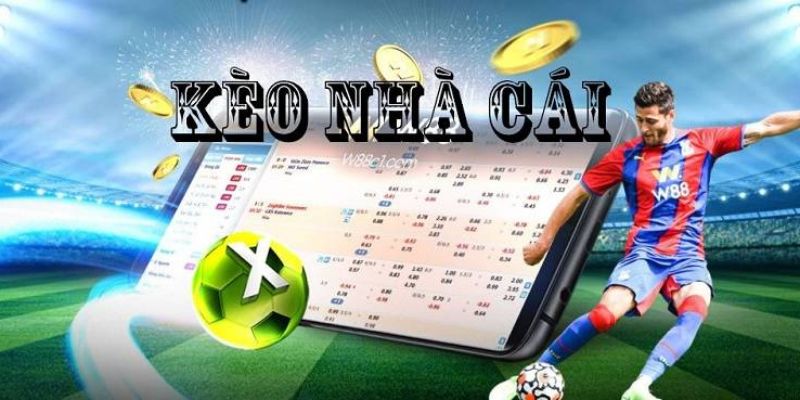 Tỷ Lệ Kèo Nhà Cái 8XBET