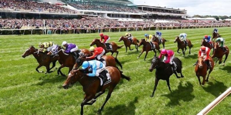 Cá Cược Đua Ngựa 8XBET